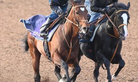 【天皇賞】タスティエーラ動き良化　鞍上はモレイラに決定　前走を振り返って堀師「工夫して臨むつもりです」