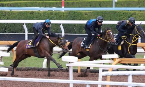 【天皇賞】テーオーロイヤル　G1初戴冠へ態勢万全！菱田自信の仕上がり「いい時の状態さらに超えてきてくれた」