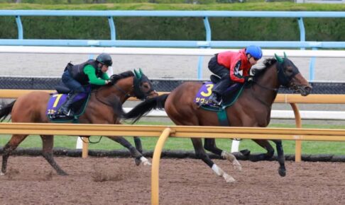 【天皇賞】サヴォーナ迫力満点　池添「いい状態で向かっていける」持ち味発揮で初の重賞Vなるか