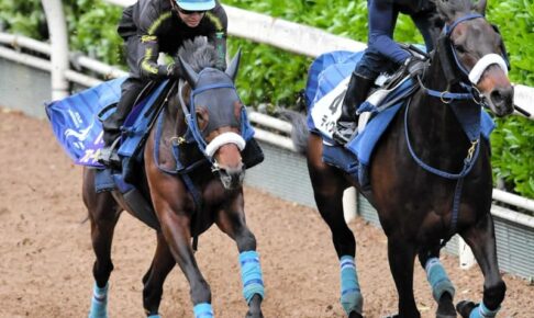 【天皇賞】ブローザホーン好感触　折り合い重視で気負わず登坂　吉岡師「頂点に立つ力のある馬」