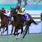 【朝日杯フューチュリティステークス2025予想】過去10年のレース結果・配当・血統まとめ 傾向分析に使えるお役立ちデータ 【朝日杯フューチュリティステークス2025予想】過去10年のレース結果・配当・血統まとめ 傾向分析に使えるお役立ちデータ