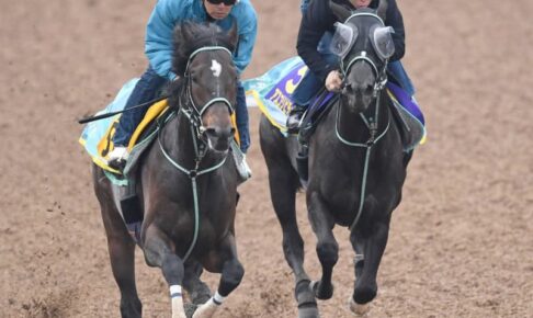 【NHKマイルC】アスコリピチェーノ　中3週でも大丈夫　黒岩師も好感触「いい走り」