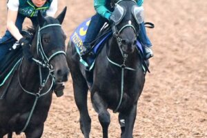 【NHKマイルC】アスコリピチェーノ　おかえりルメールと新馬戦以来コンビ復活　黒岩師絶賛「いい動き」