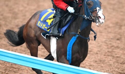 【NHKマイルC】ボンドガール　武豊の手腕に託す　手塚師期待「前走よりいいパフォーマンスに」