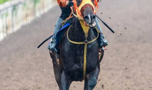 【NHKマイルC】ジャンタルマンタル　疲労問題なし　高野師「ハツラツと動けていた」
