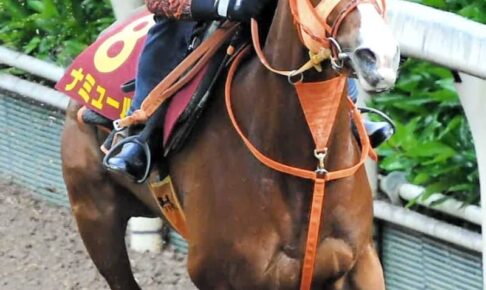 【ヴィクトリアM】ナミュール　ドバイ帰りの不安一掃　武豊「すごい切れ味」高野師「間違いなく力を出せる状態」