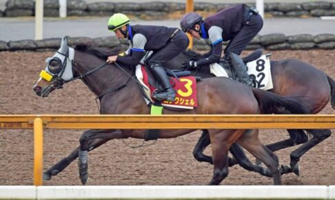 【ヴィクトリアM】コンクシェル　伸びやかなフットワーク　先行策へ岩田望「しっかり出す」