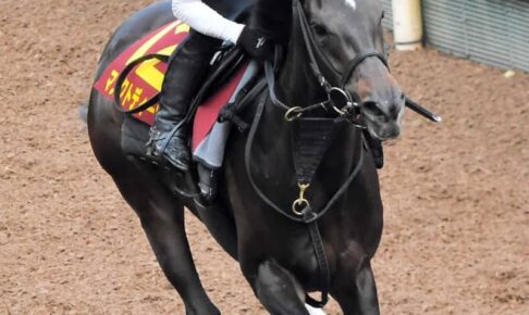 【ヴィクトリアM】マスクトディーヴァ5.12バースデーG1初制覇へ完璧　馬なりノーステッキで4F52秒9