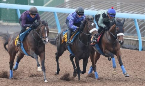 【オークス】ステレンボッシュ　初コンタクト戸崎圭うなった　「ダービーを意識している場合じゃないですね」