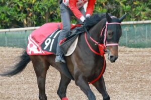 【オークス】ラヴァンダ　末脚にキレ味　中村師「勢いが違う。2400メートルでも対応できるんじゃないかな」