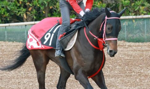 【オークス】ラヴァンダ　末脚にキレ味　中村師「勢いが違う。2400メートルでも対応できるんじゃないかな」