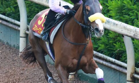 【オークス】スウィープフィート万全　先週4500勝達成の武豊28年ぶり樫制覇へ　「東京の長い直線はいい」