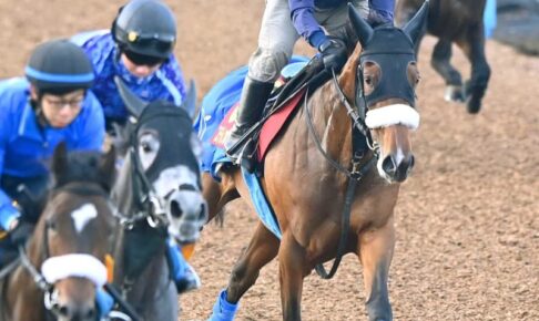 【オークス】ステレンボッシュ桜＆樫の女王へ完成　勝負の〝攻め〟采配　国枝師、アパパネら先輩と「現時点では同じぐらい」