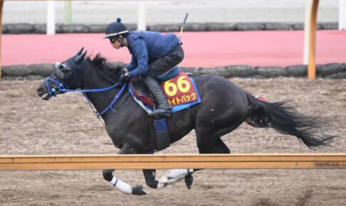 【オークス】ライトバック進化　折り合い改善！ラストの破壊力は世代随一　茶木師「かなり期待しています」