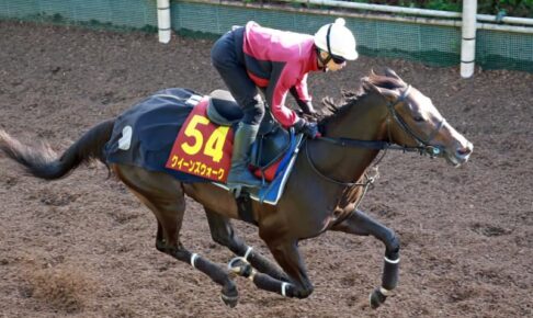 【オークス】クイーンズウォーク充実　中内田師が調教騎乗「動きは非常に良かった。距離適性もある」　オークス連覇へ期待