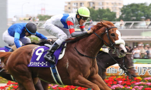 テンハッピーローズ／2024年ヴィクトリアマイル（C）Toshihiko Yanagi