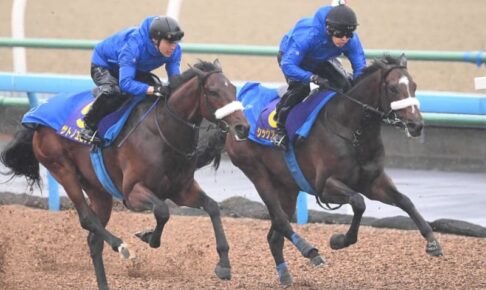 【日本ダービー】シックスペンス着々　国枝師は不満チラリも伸び良好「確実にダービーを獲るために」打倒皐月賞馬へ万全の態勢