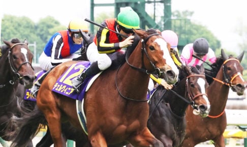 チェルヴィニア／2024年オークス（C）Toshihiko Yanagi