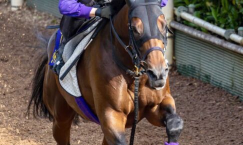 【日本ダービー】ジャスティンミラノ万全　史上8頭目無敗2冠＆史上初親子3代制覇へ　友道師「何とか成し遂げたい」