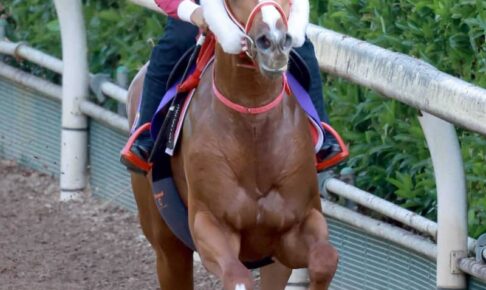 【日本ダービー】シンエンペラー弾んだ　文句なしの素軽いフットワーク　矢作師自信「前回とは状態違う」