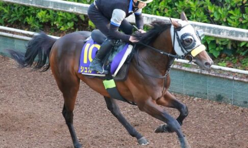 【日本ダービー】シュガークン軽快　偉大な兄が成し得なかった世代の頂点へ　ダービー7勝目へ武豊「チャンスある」