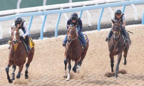 【日本ダービー】ダノンエアズロック満点の切れ味　堀師「折り合い完璧」　骨折も影響感じさせず