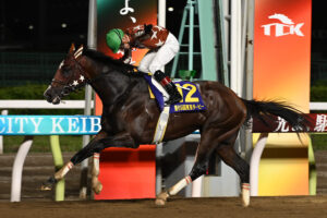 昨年の東京ダービーはミックファイアが制し、後に無敗の三冠を達成（C）TCK