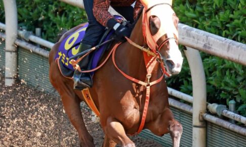 【安田記念】ナミュール逆襲へ　ヴィクトリアM8着から巻き返す　高野師「いいリズムで走らせたい」