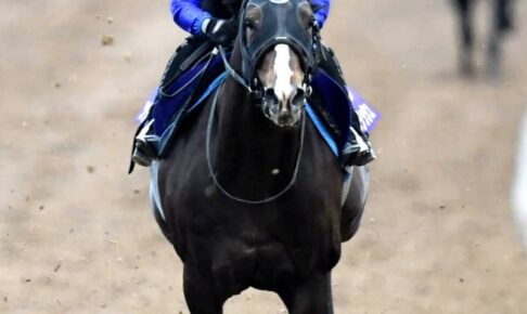 【安田記念】ソウルラッシュ突進　鋭く伸びた万全リハ　G1初制覇へ　池江師「上積みはありますね」