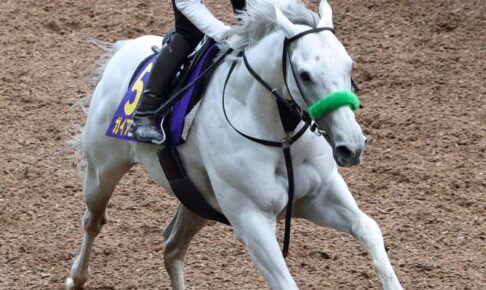 【安田記念】ガイアフォース　先週よりも良化　杉山晴師「仕上がりは満足」