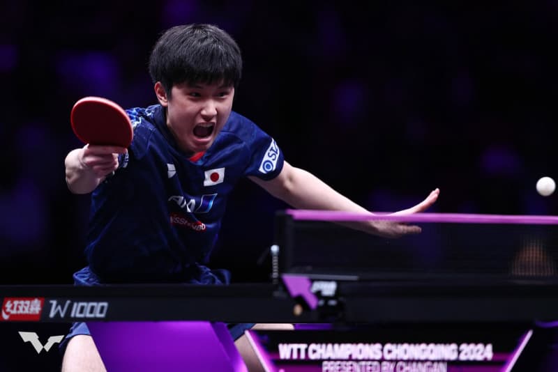 張本智和 世界卓球V2王者の樊振東に敗れる。ベスト8で姿を消す【卓球 WTT重慶】