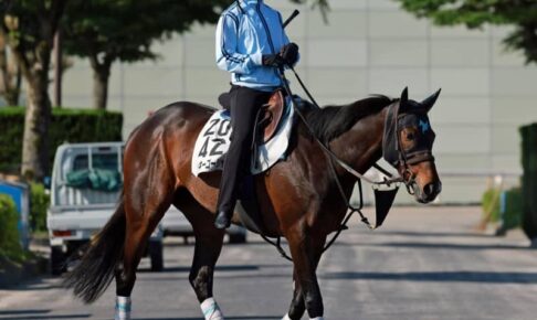 【マーメイドS展望】ミッキーゴージャス　発展途上ながらも能力最上位　安田師「いろんなことを覚えさせている段階」