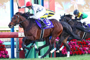 ドウデュース／2023年有馬記念（C）Toshihiko Yanagi