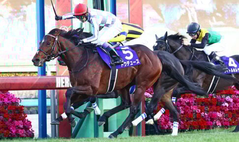 ドウデュース／2023年有馬記念（C）Toshihiko Yanagi