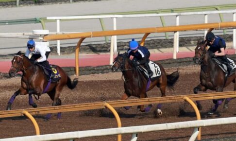 【宝塚記念】ドウデュース　ド迫力　主要4場でのG1制覇の偉業へ　武豊「何も言うことはない」