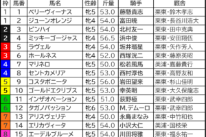マーメイドS2024の枠順