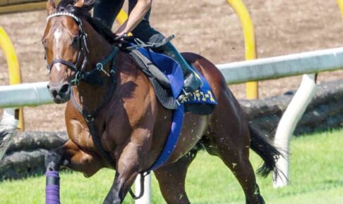 【宝塚記念】ドウデュース　最強リハ　我慢利かせ“あえて”の併入　友道師「いい追い切りできた」