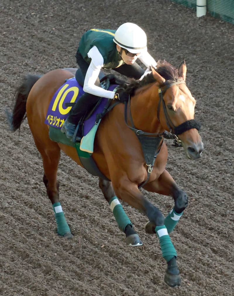 【宝塚記念】ベラジオオペラ 万全の仕上がり 道悪決戦でも動じず「不安よりも楽しみ」週末は雨予報 【宝塚記念】ベラジオオペラ 万全の仕上がり 道悪決戦でも動じず「不安よりも楽しみ」週末は雨予報