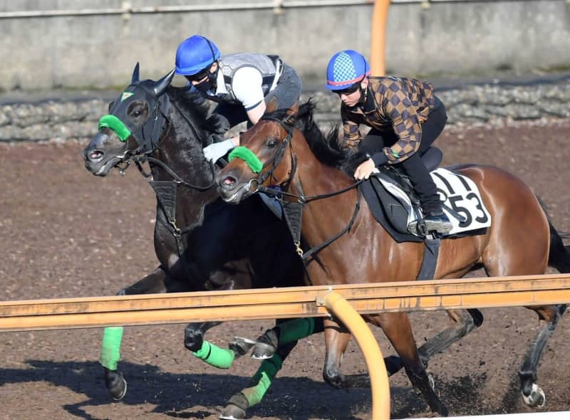 【宝塚記念】ジャスティンパレス 充実走 ドバイ遠征経て成長実感 杉山晴師「ちょうどいい負荷」 【宝塚記念】ジャスティンパレス 充実走 ドバイ遠征経て成長実感 杉山晴師「ちょうどいい負荷」