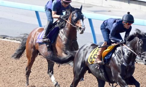 【宝塚記念】ローシャムパーク　G1獲りへ“走行フォーム”改善　田中博師は合格点「いいリズム」