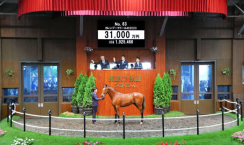 【セレクトセール24】名牝カレンブーケドールの初子が3億1000万円で落札
