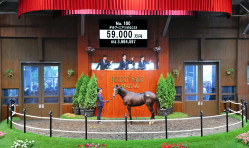 【セレクトセール24】キタサンブラック産駒の牡馬が1歳馬史上最高落札額となる5億9000万円