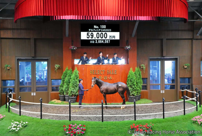 【セレクトセール24】キタサンブラック産駒の牡馬が1歳馬史上最高落札額となる5億9000万円