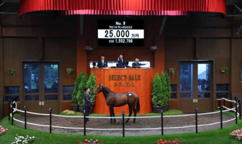 【セレクトセール2024】コントレイル産駒が2億5000万円で落札
