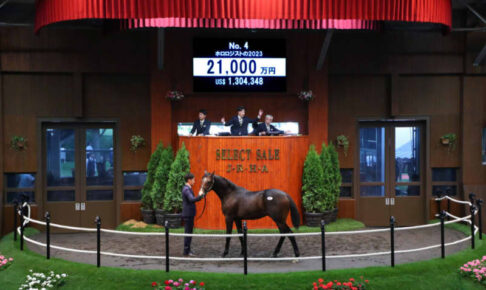 【セレクトセール2024】サートゥルナーリア産駒が2億1000万円で落札