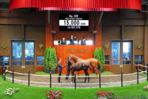 【セレクトセール24】ダービー馬マカヒキの初年度産駒デロングスター24　1億5000万円でマカヒキの馬主・金子真人HDが落札