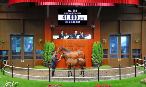 【セレクトセール24】キタサンブラック産駒が2日目初の4億超え　シュネルマイスター半弟　田畑利彦氏が落札