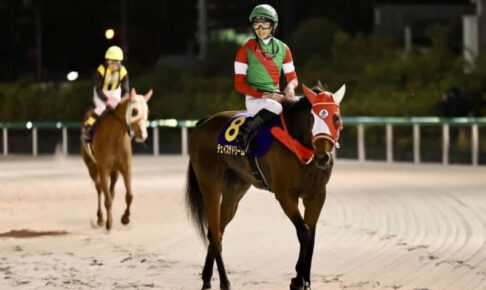 【アイビスSD登録馬】チェイスザドリームなど21頭