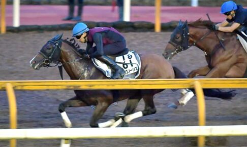 【札幌記念】プログノーシス　連覇へ万全　鋭伸ラスト1F11秒0　福永助手「順調に乗り込めている」