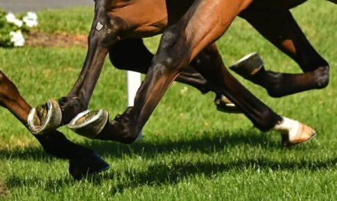 新馬戦レコードVのキングスコールがソエで札幌2歳Sを回避　今後は栗東に戻して様子を見る方針